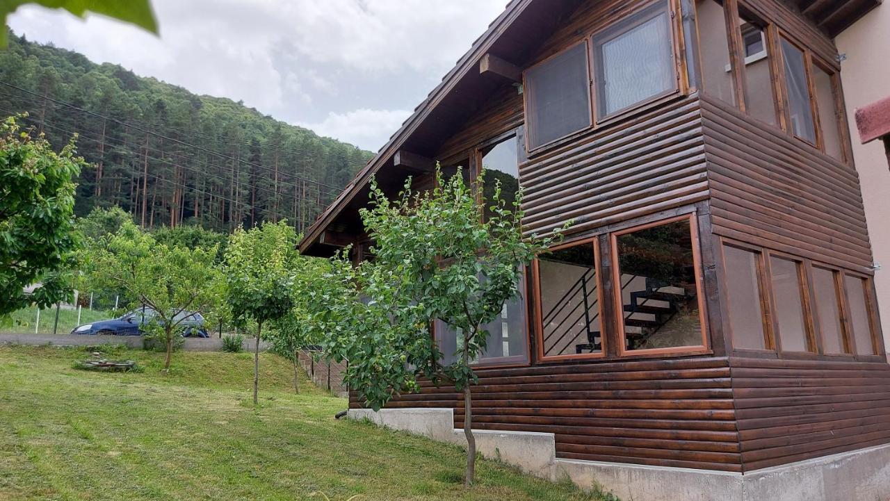 Forest Apartment Sapareva Banya Exterior foto
